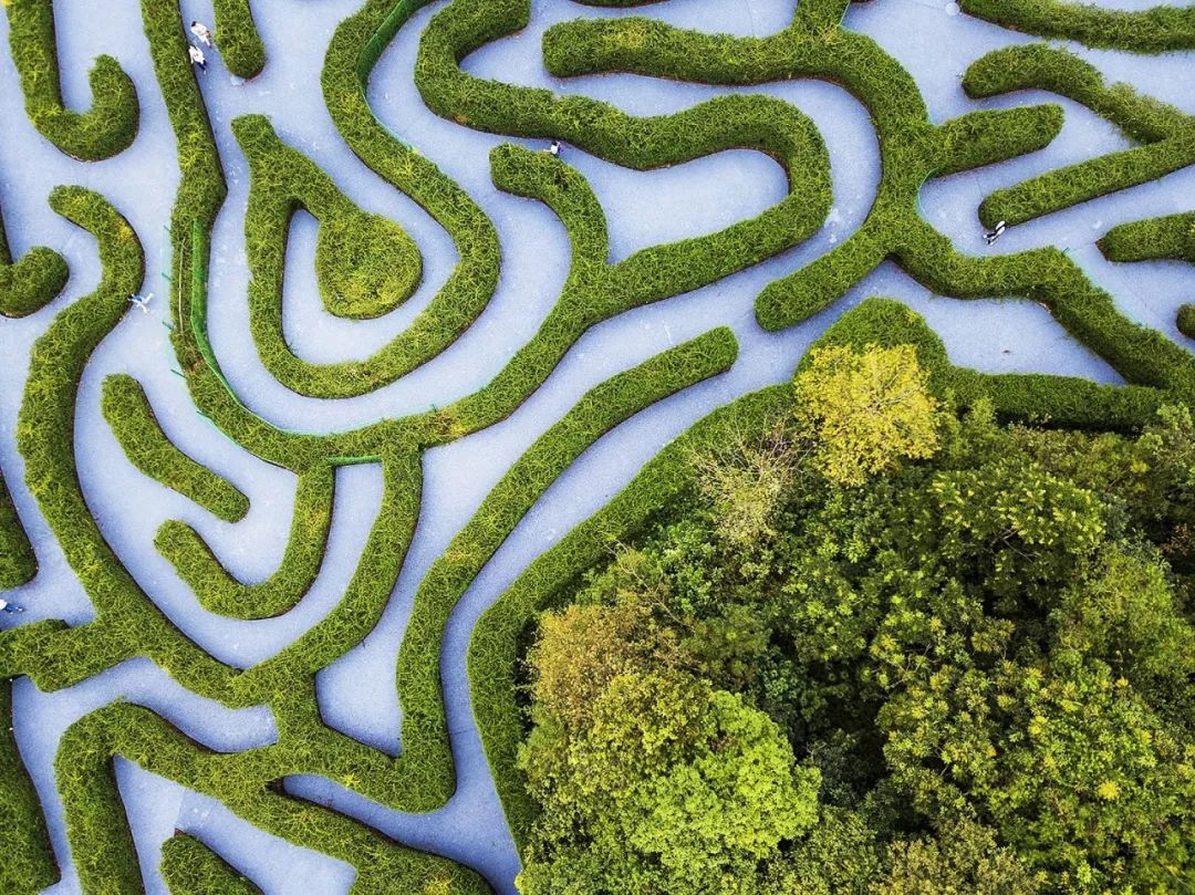 丛林迷宫-惠州果盛生态园官网